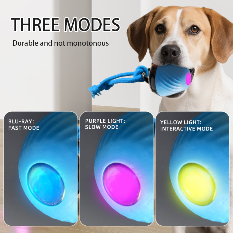 Electronic interactive pet ball with rope movement toy
