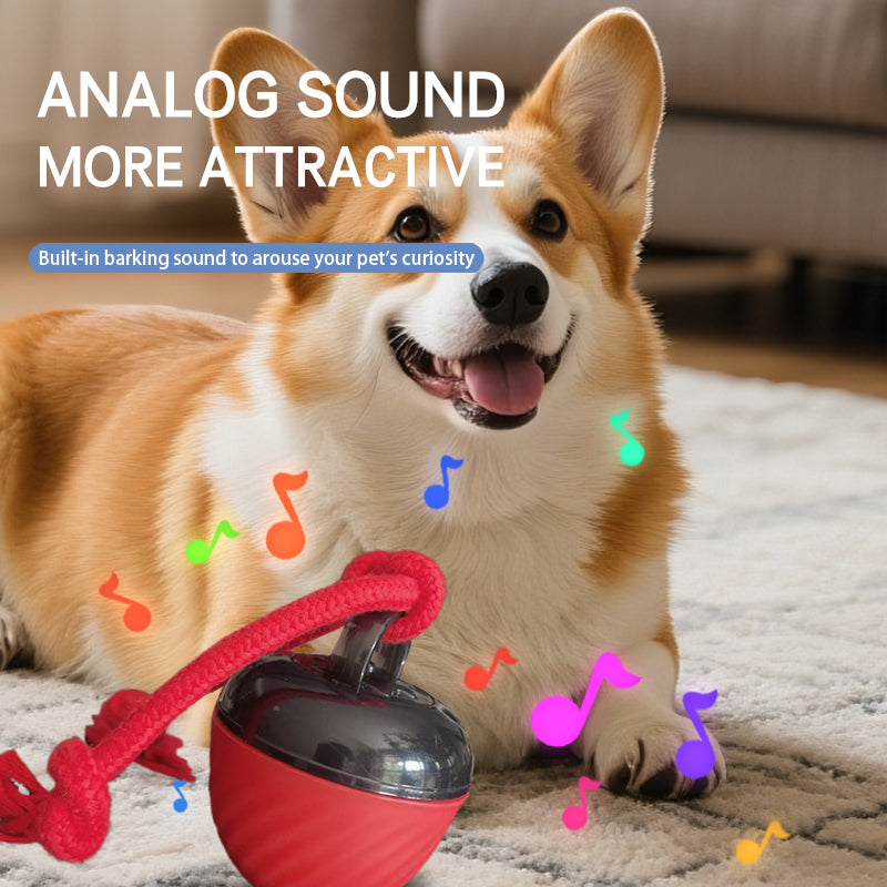 Electronic interactive pet ball with rope movement toy