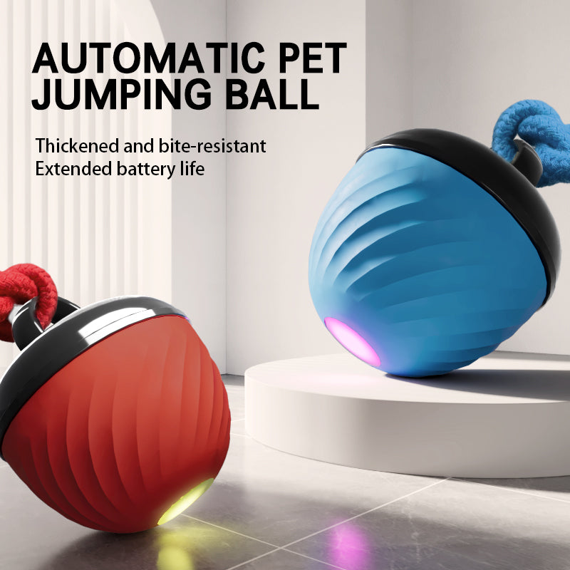 Electronic interactive pet ball with rope movement toy