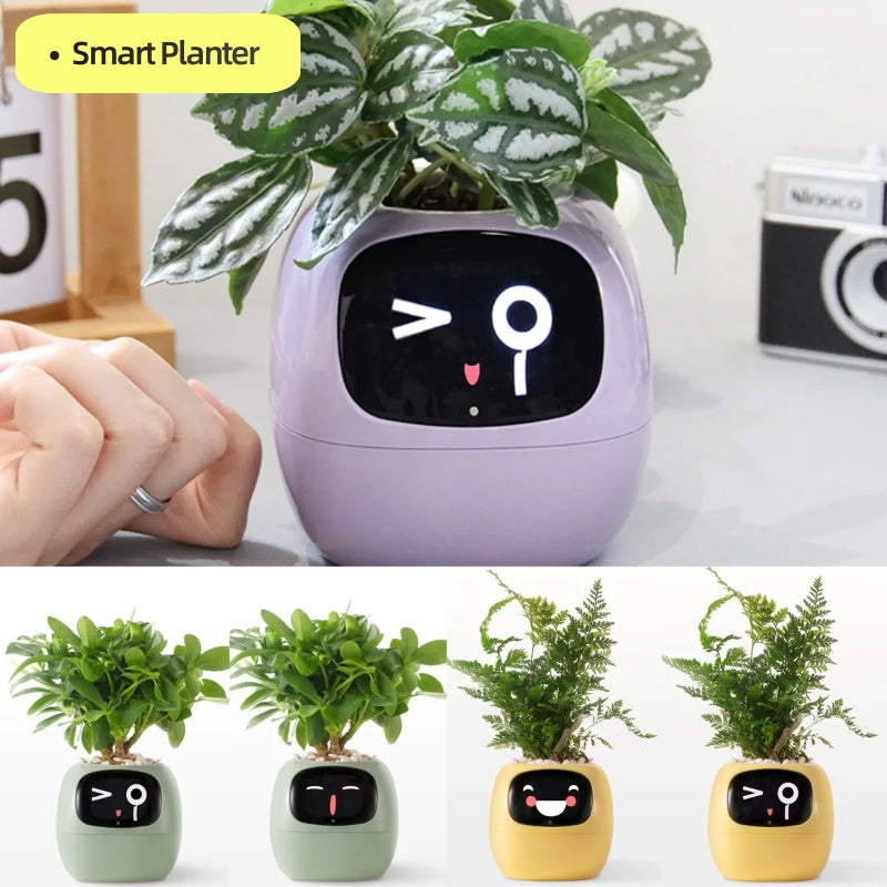 A smart flowerpot for endless fun