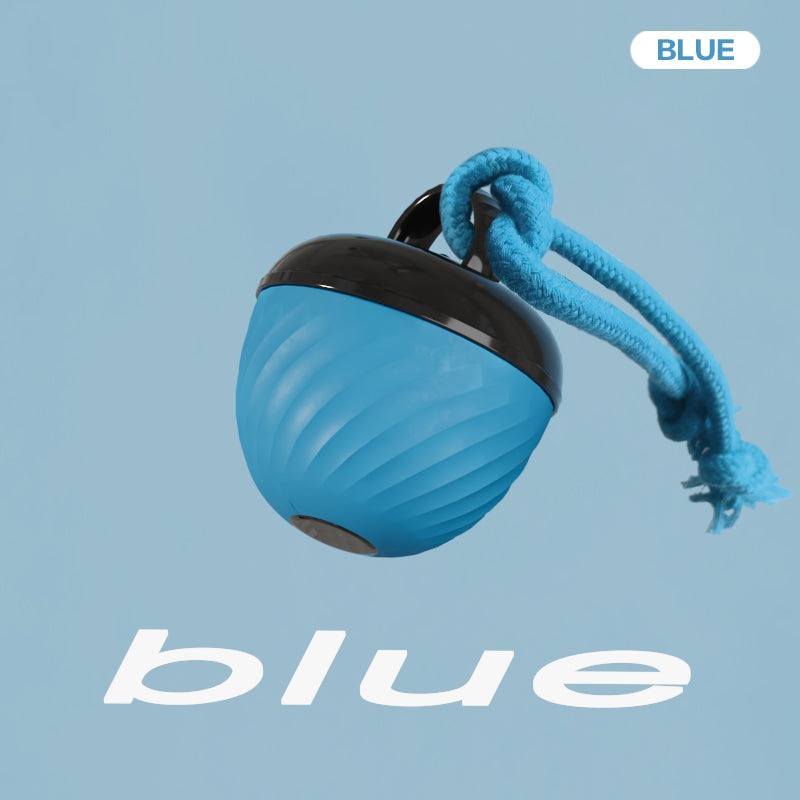 Electronic interactive pet ball with rope movement toy