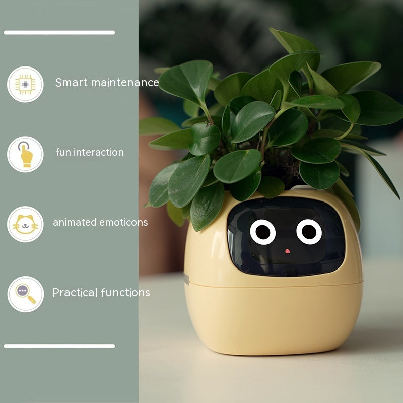 A smart flowerpot for endless fun
