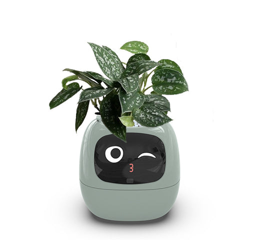 A smart flowerpot for endless fun